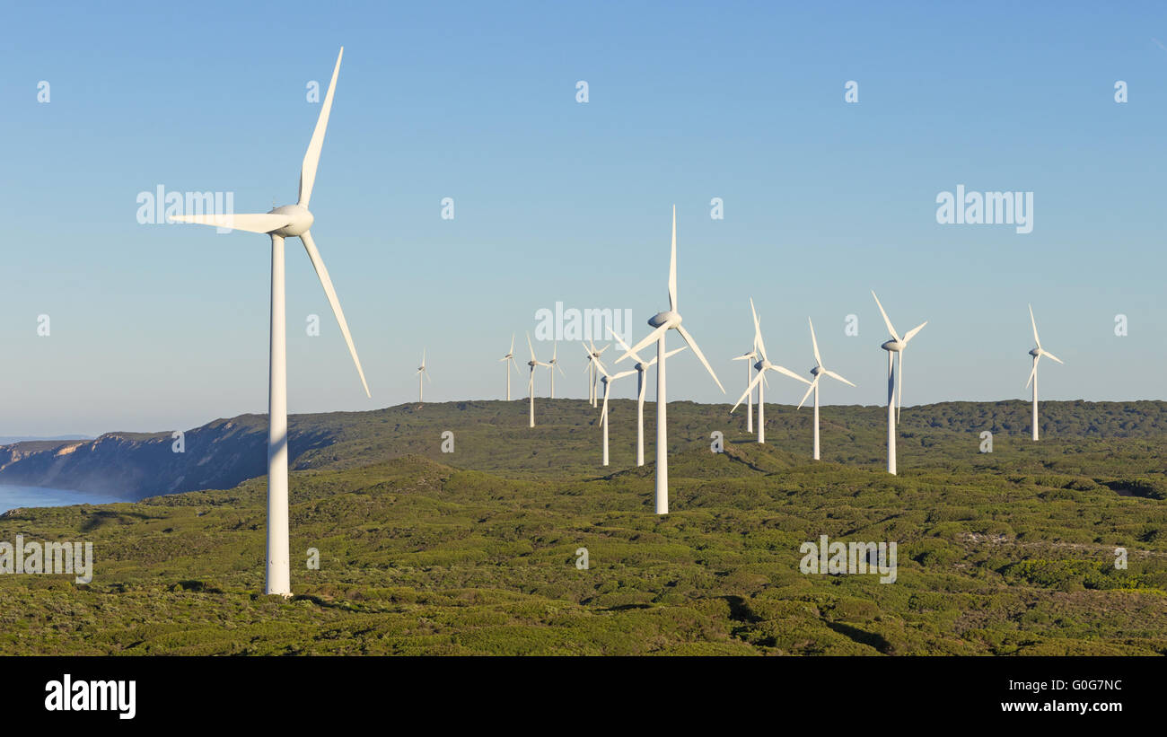 Albany Windpark nahe der Stadt mit dem gleichen Namen in Western Australia. Stockfoto