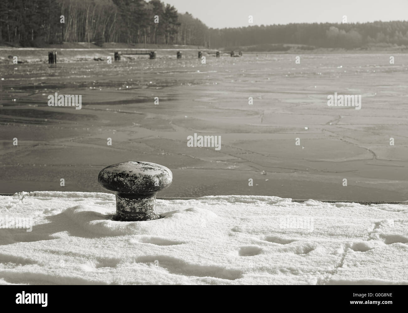 Poller von der Elbe im winter Stockfoto