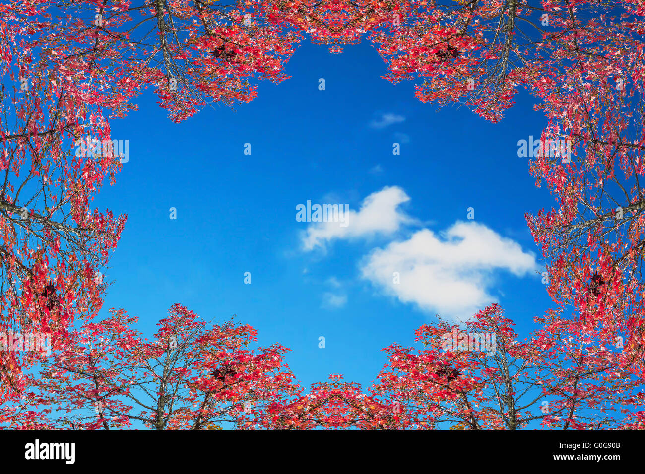 Herbst-Rahmen gegen blauen Himmel. Stockfoto