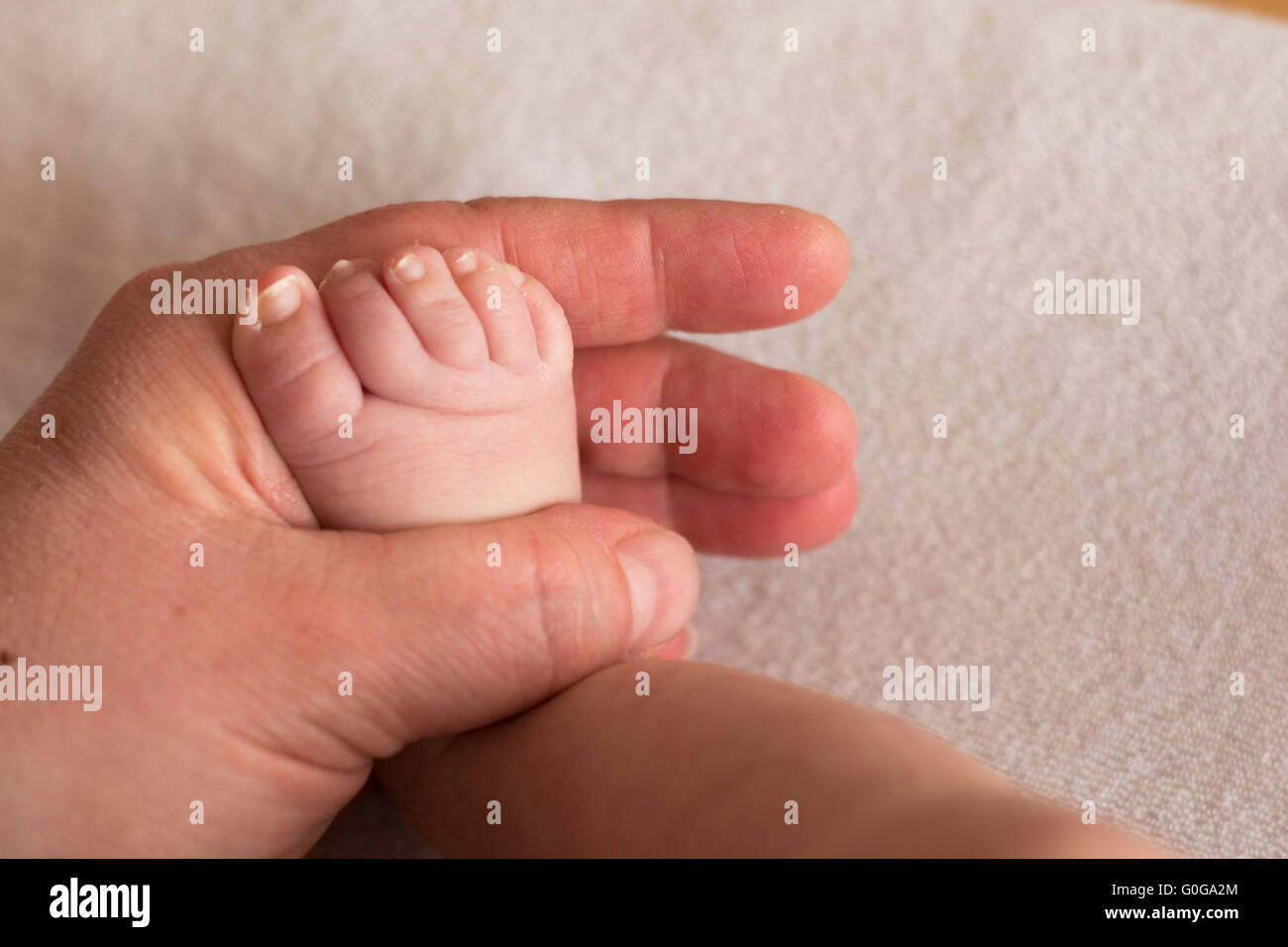 Säugling Fuß in der Hand eines Erwachsenen - Nahaufnahme Stockfoto