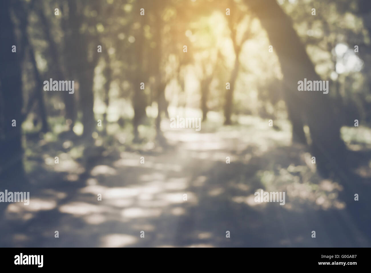 Verschwommene Natur Hintergrund Mit Instagram Stil Filter