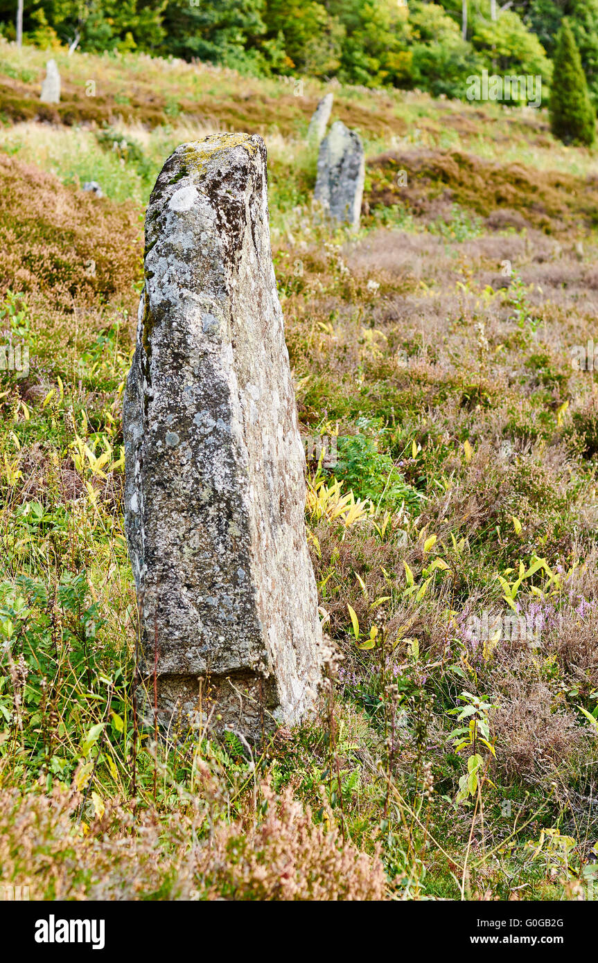 Alte Grabsteine auf Fjärås Bräcka, einer Län, Schweden Stockfoto