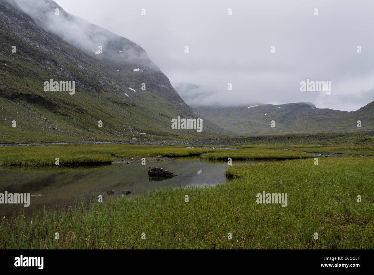 Sumpfiges Grasland in Tjäktjavagge auf der Südseite des Tjäktapass Passweg, Kungsleden, Lappland, Schweden Stockfoto