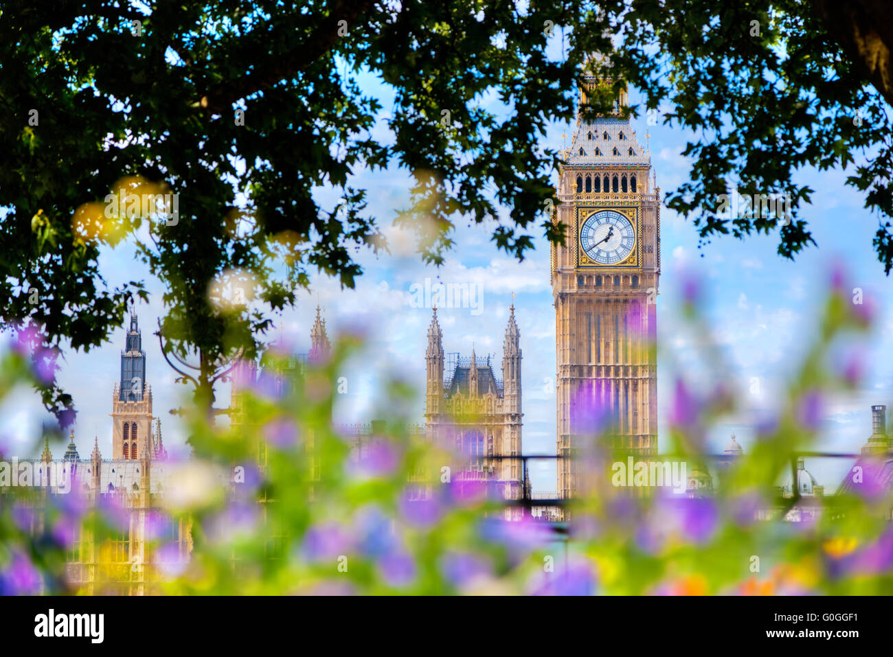 Big Ben, London UK. Blick aus einem öffentlichen Garten mit Blumen und Bäumen Stockfoto