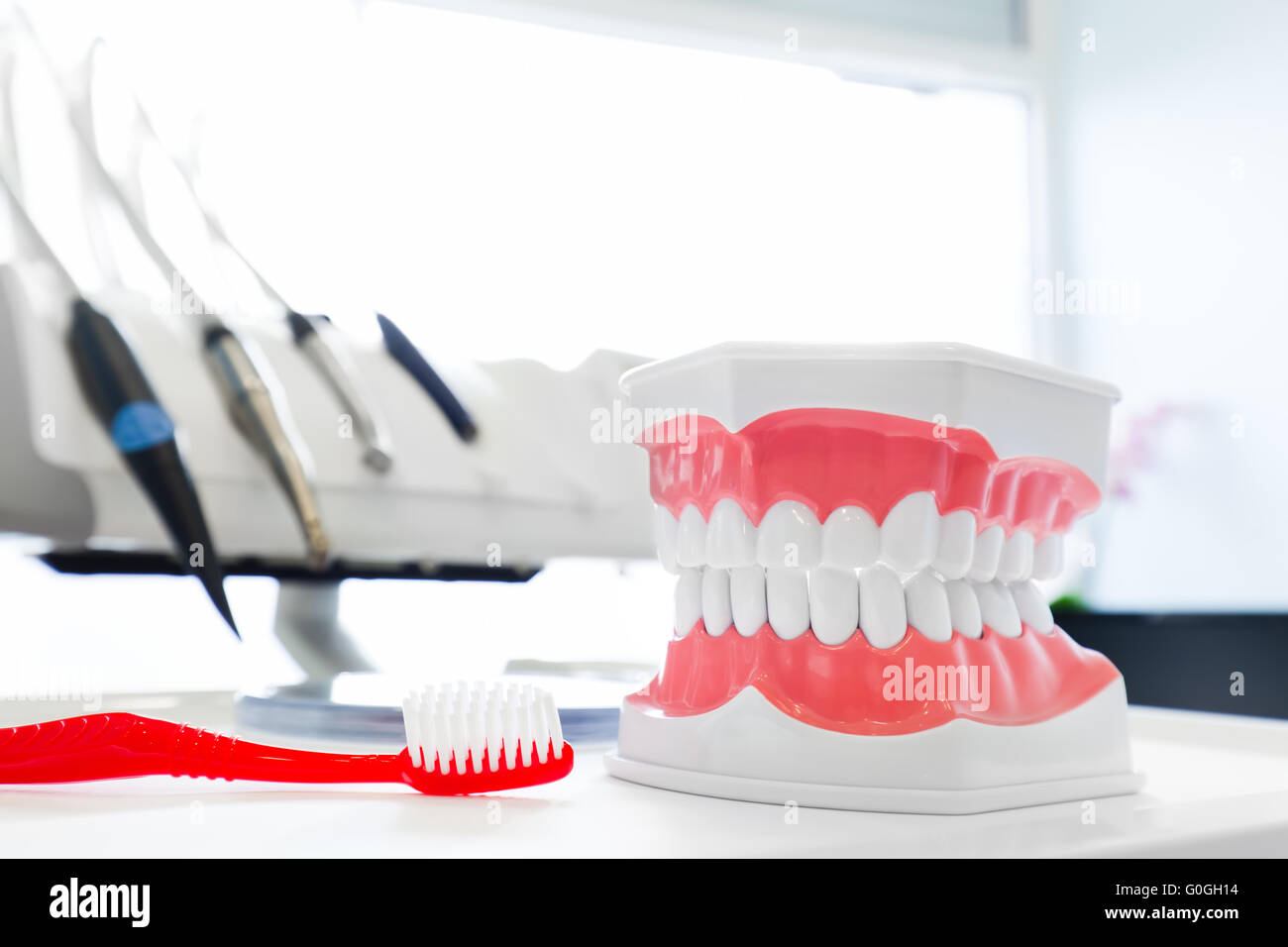 Saubere Zähne Prothese, dental Kiefer Modell und Zahnbürste in Zahnarztpraxis. Stockfoto