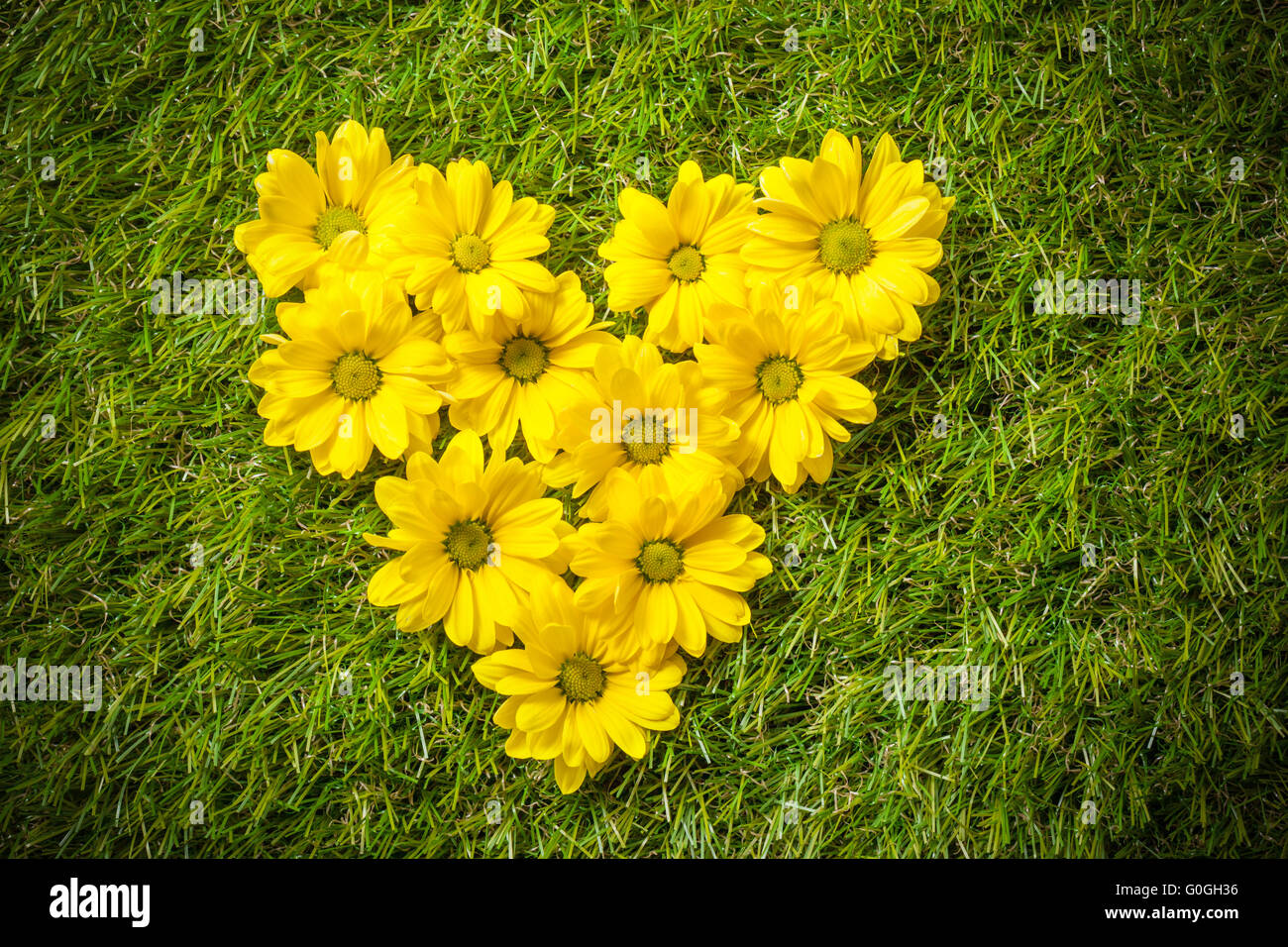 Frischen Frühlingsblumen in Herzform auf Rasen. Stockfoto