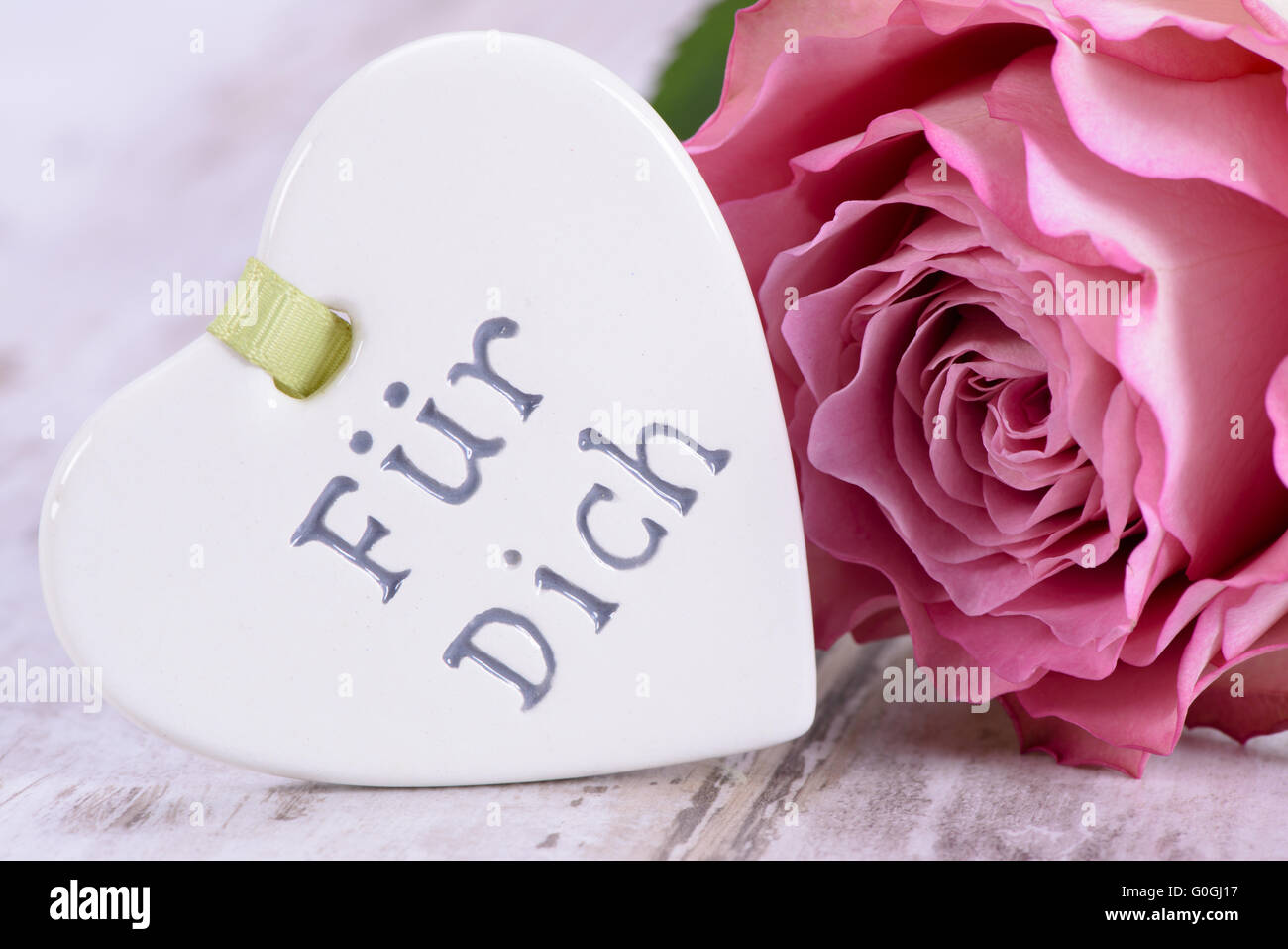 Valentinstag mit Rosen und Herzen in der Liebe Stockfoto