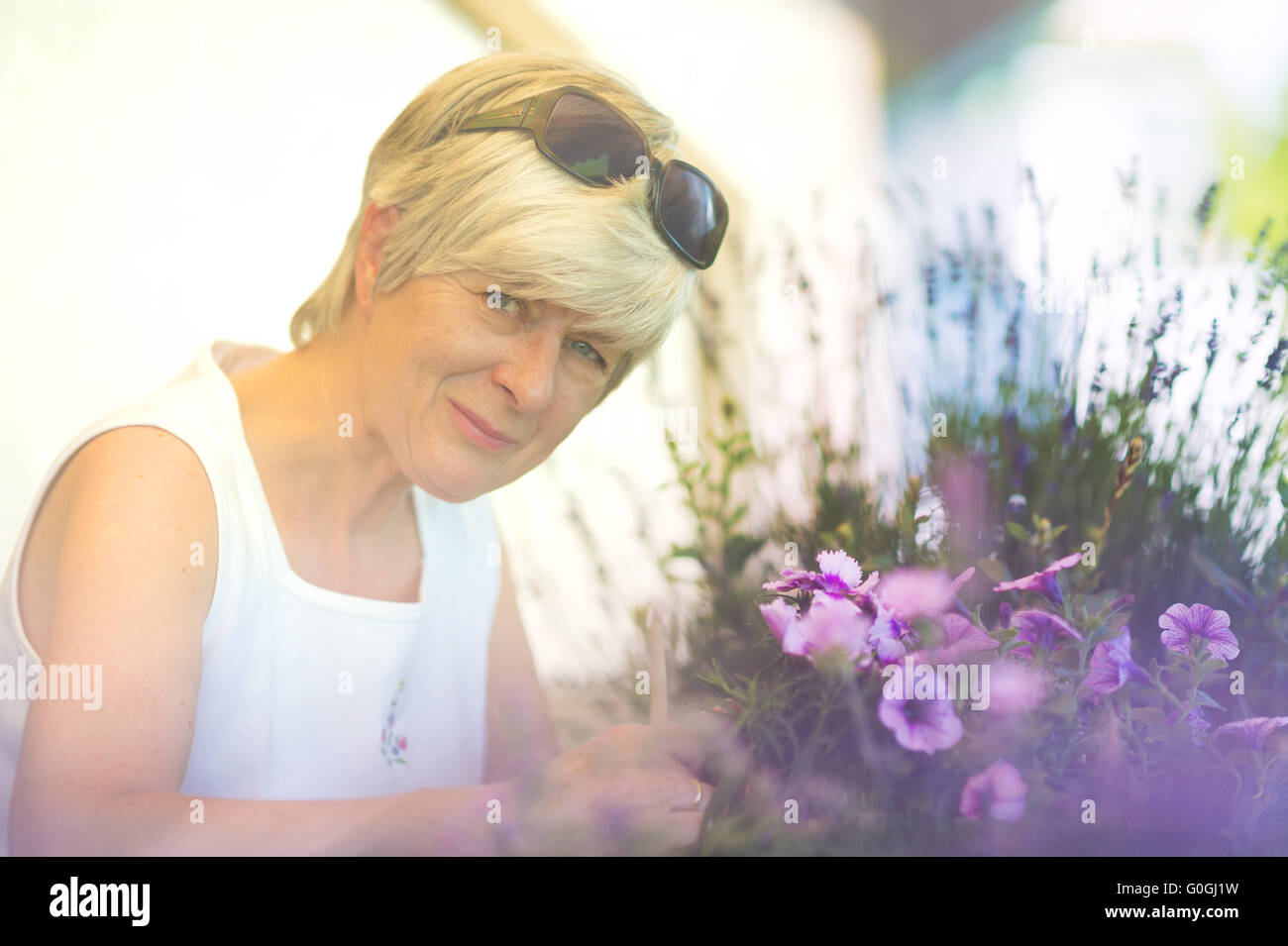 Ein Senior-Frau mit Kamera-Ansicht behält ihren Balkon Blume, rosa Petunie (Petunia). Stockfoto