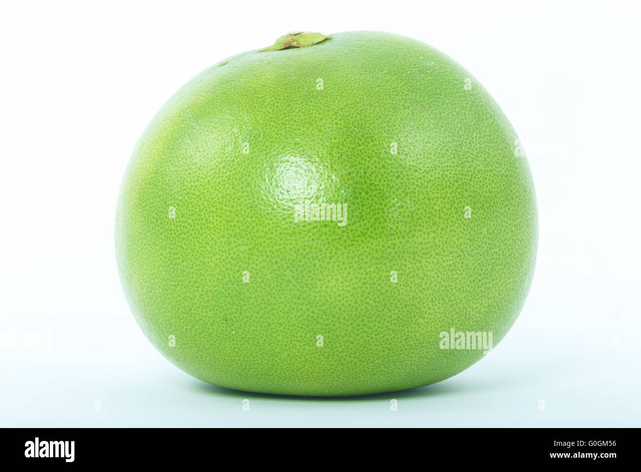 Sweetie auf weißem Hintergrund Nahaufnahme Makro isoliert Stockfoto