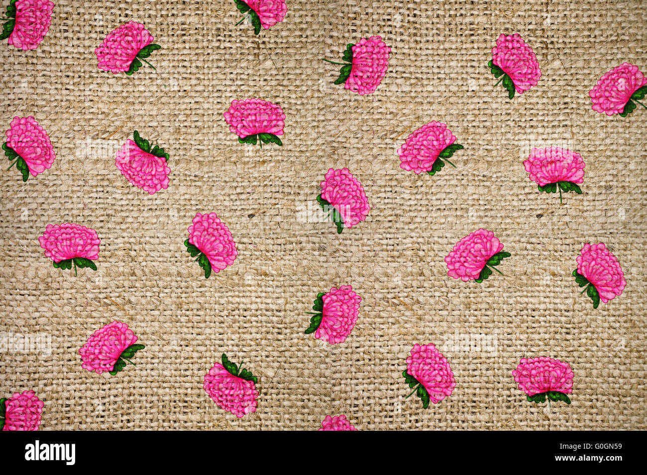 Sackleinen Hintergrund mit einem rosa Muster der Chrysanthemen Stockfoto