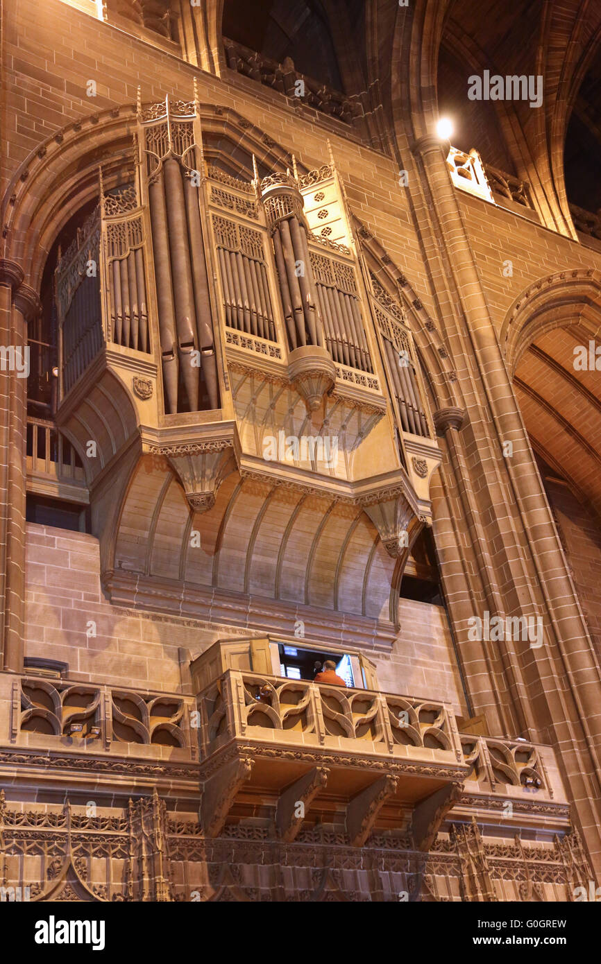 Das Innere des Liverpool Anglican Cathedral, zeigt das Henry Willis Organ, das größte in Großbritannien Stockfoto