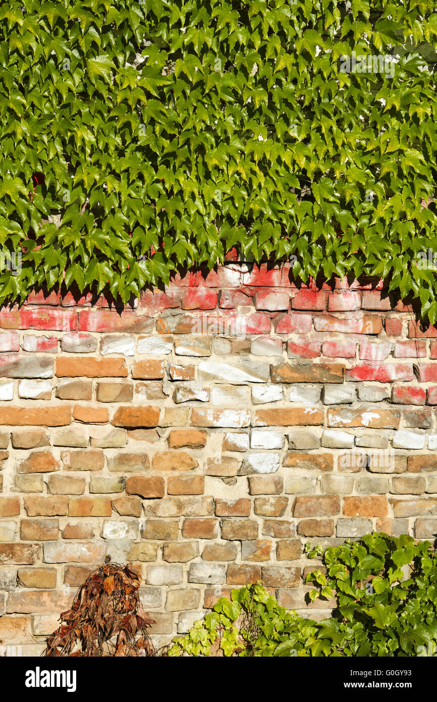 Wand Stockfoto