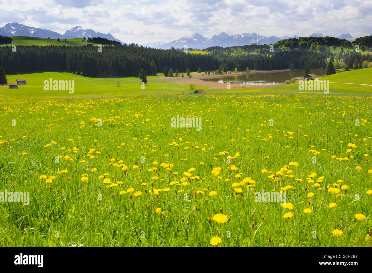 große Panorama-Landschaft in Bayern mit Alpen Berge und See Stockfoto