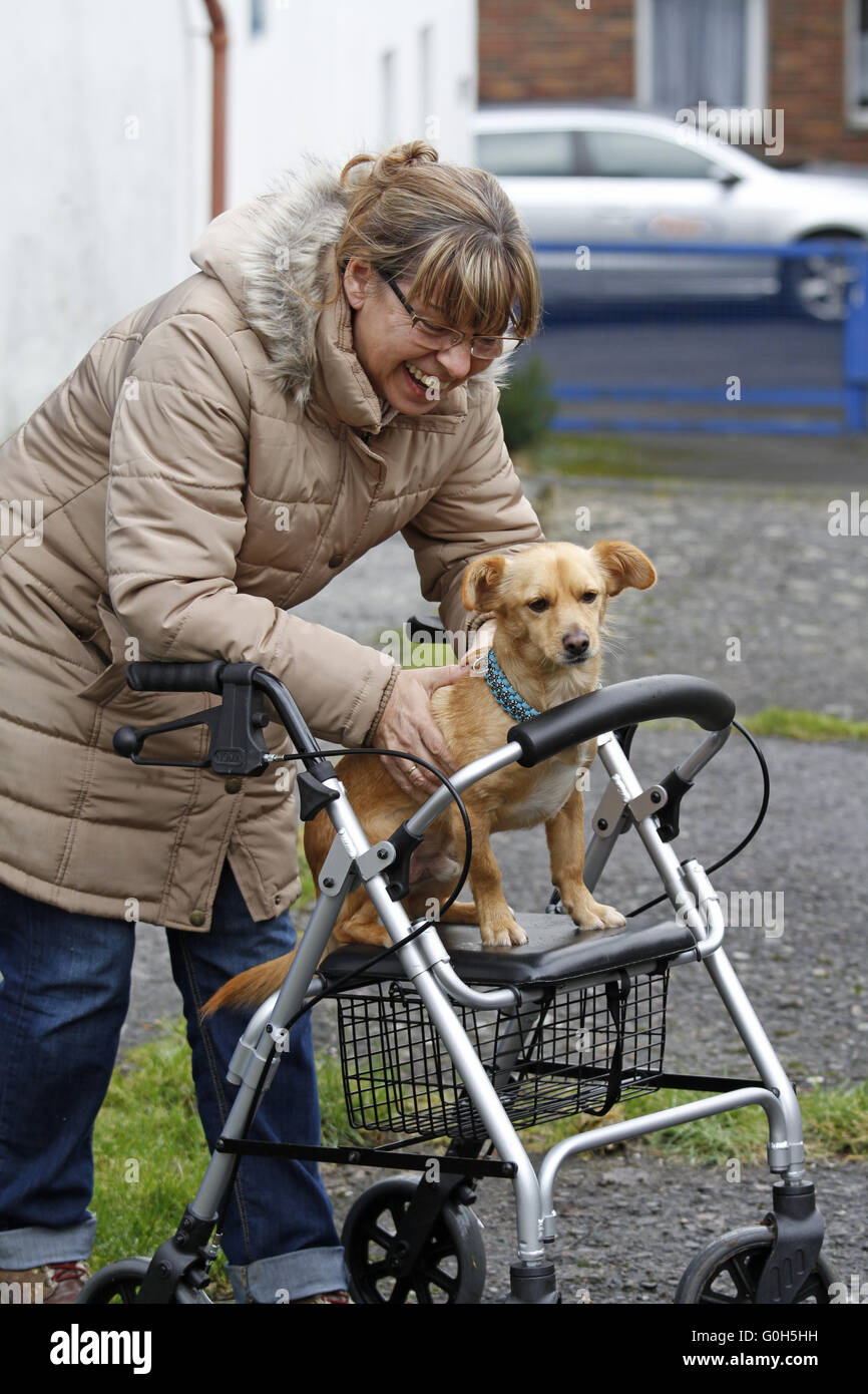 Frau mit Rädern Walker und Hund Stockfoto