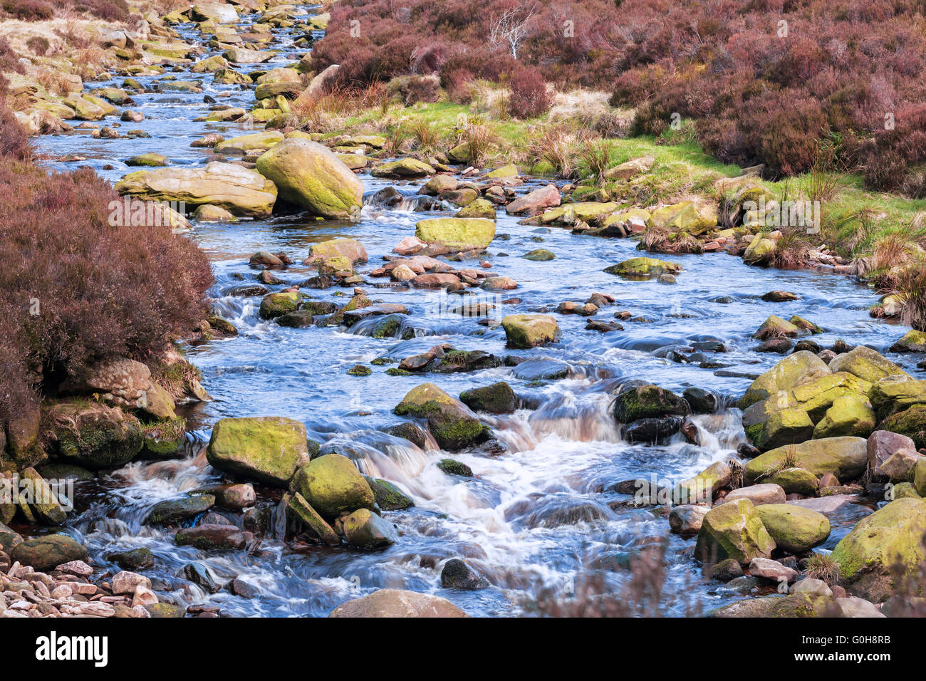 Heatherland Fluß Etherow, Peak District, UK Stockfoto