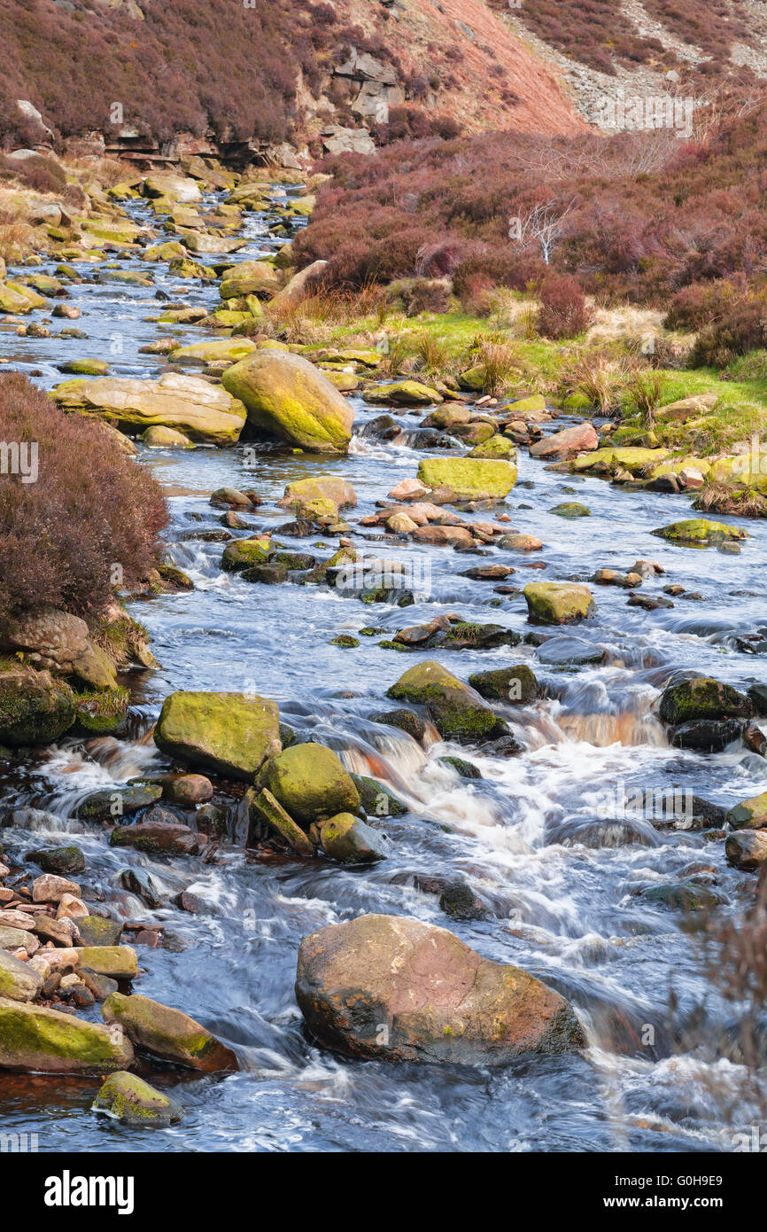 Moor-Fluss zwischen Heather Blumen im Frühling Stockfoto