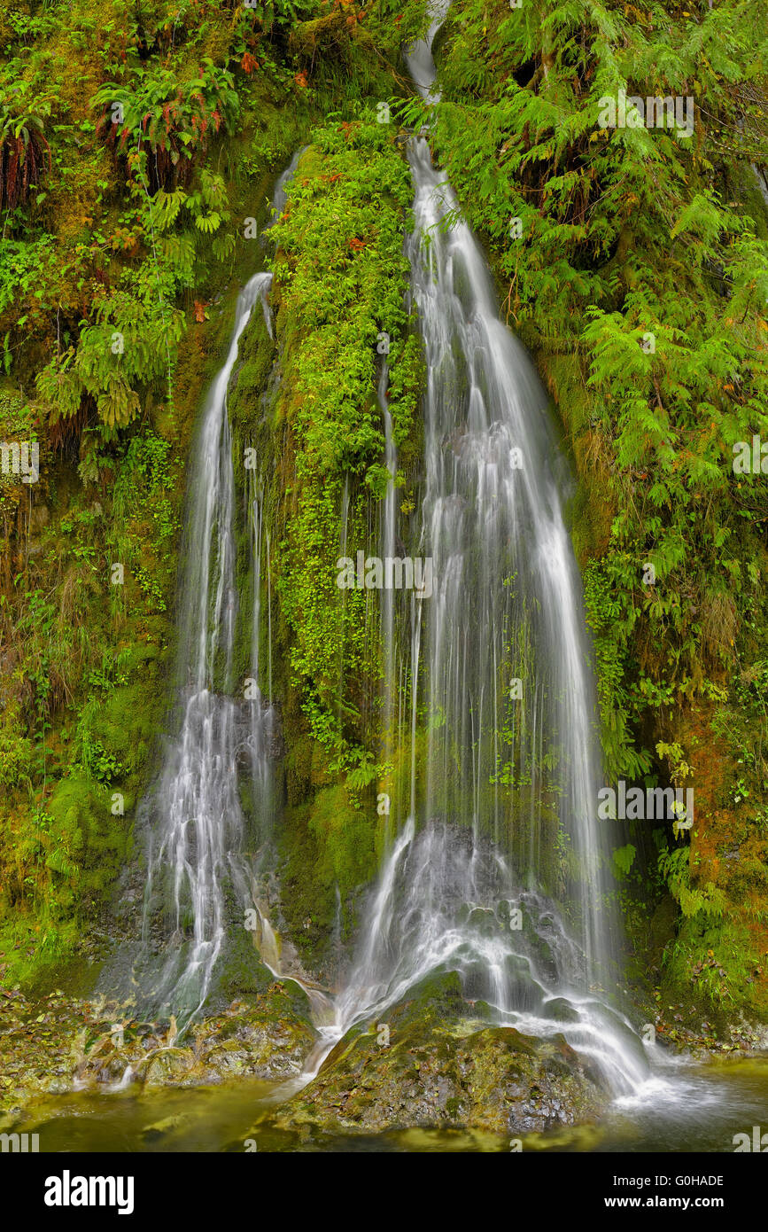 Salmon Creek Falls Stockfoto