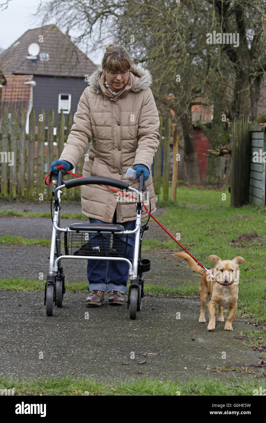 Frau mit Rädern Walker und Hund Stockfoto