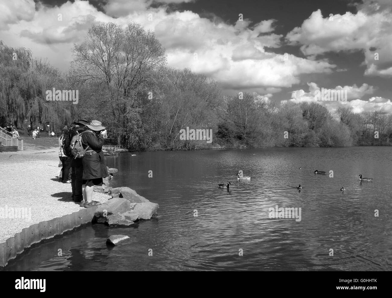 Schießende Enten im Park, Reife Frau an einem sonnigen Tag, trägt einen großen Mantel fotografieren Enten im Park, 30. April 2016 Stockfoto