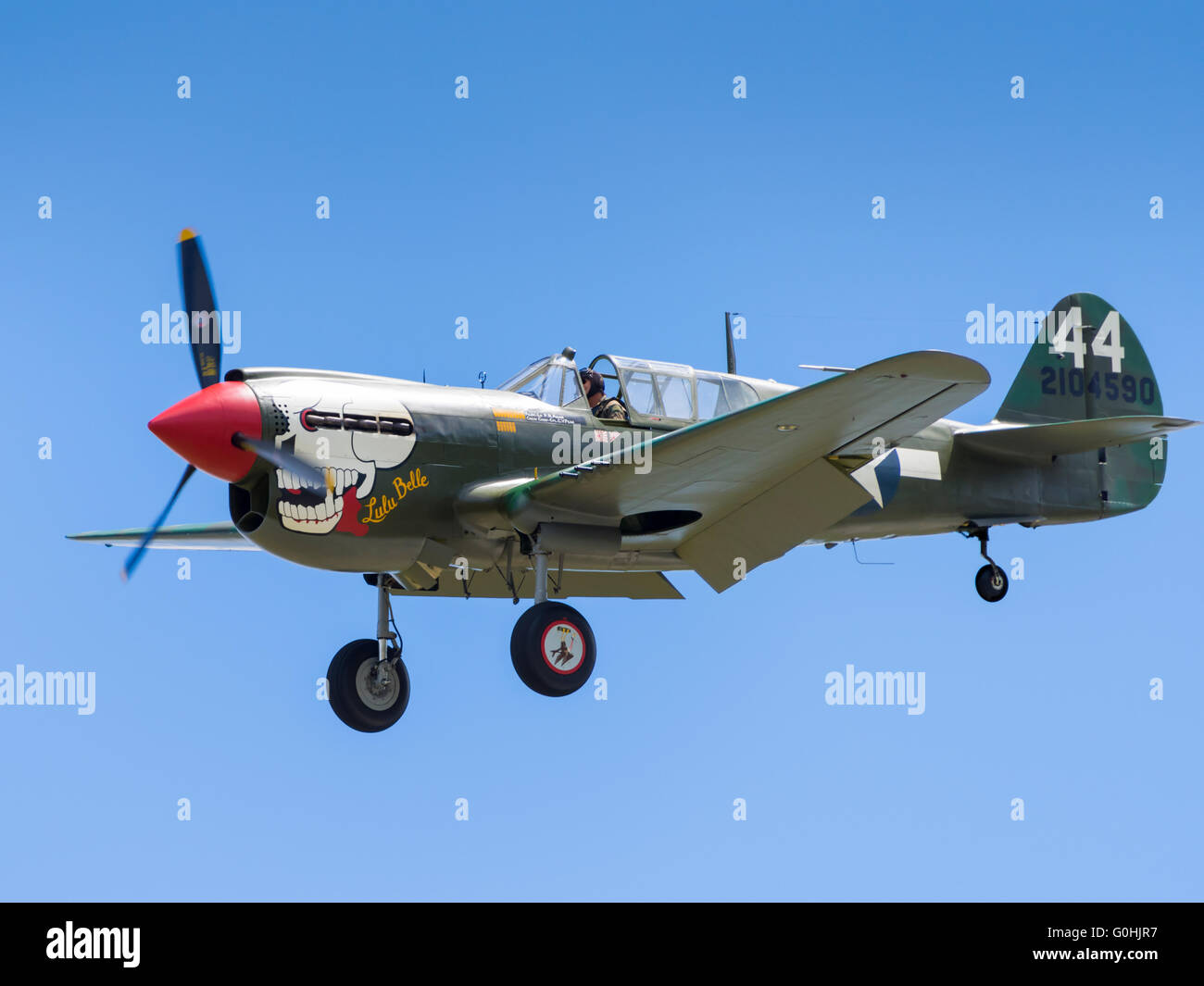 Curtiss tomahawk -Fotos und -Bildmaterial in hoher Auflösung – Alamy