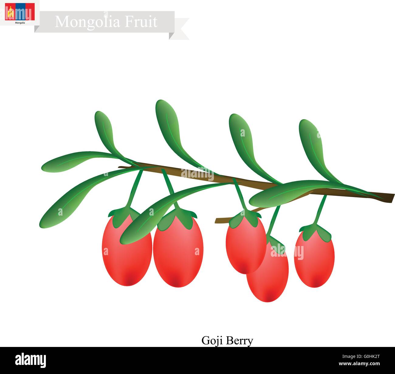 Mongolei Frucht, Darstellung der Goji-Beere. Eine der beliebtesten Früchte der Mongolei. Stock Vektor