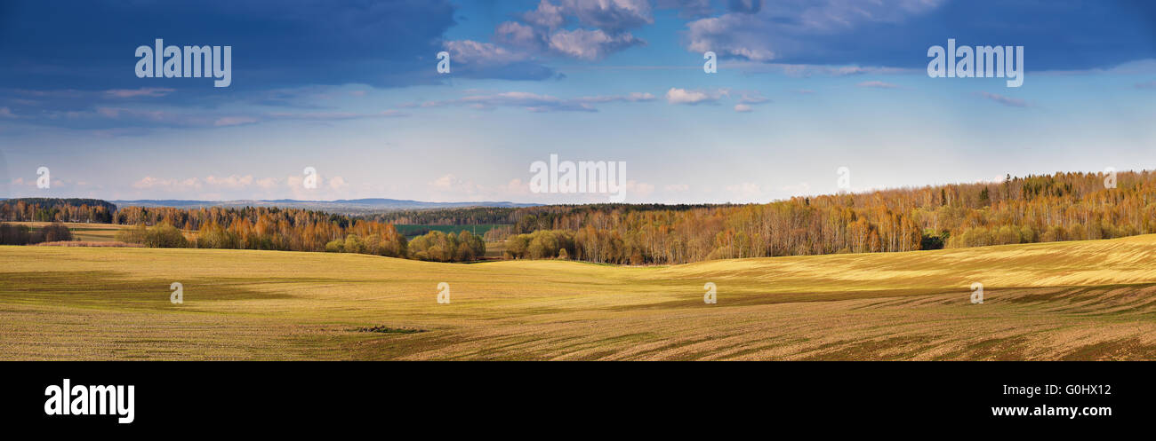 Sonnigen Frühlingstagen Felder am Abend. Belarus Stockfoto