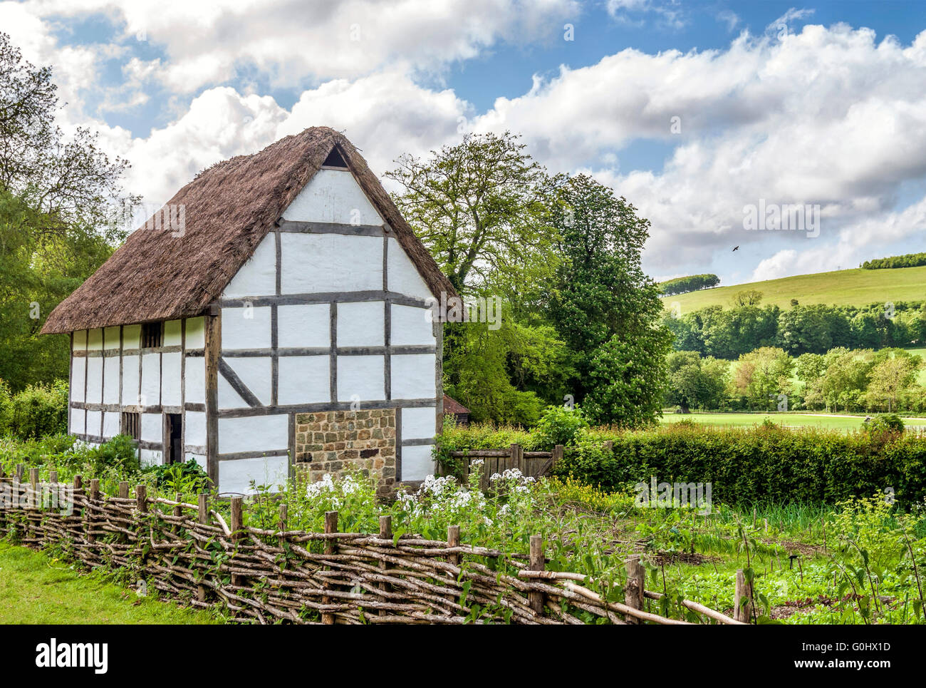 Englisches Landhaus mitten auf einem Feld bei der Weald & Downland Open Air Museum von Singleton, West Sussex, England. Stockfoto