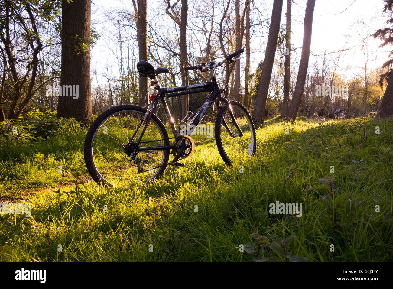 Fahrrad von Raleigh im Wald in Suffolk, UK Stockfoto