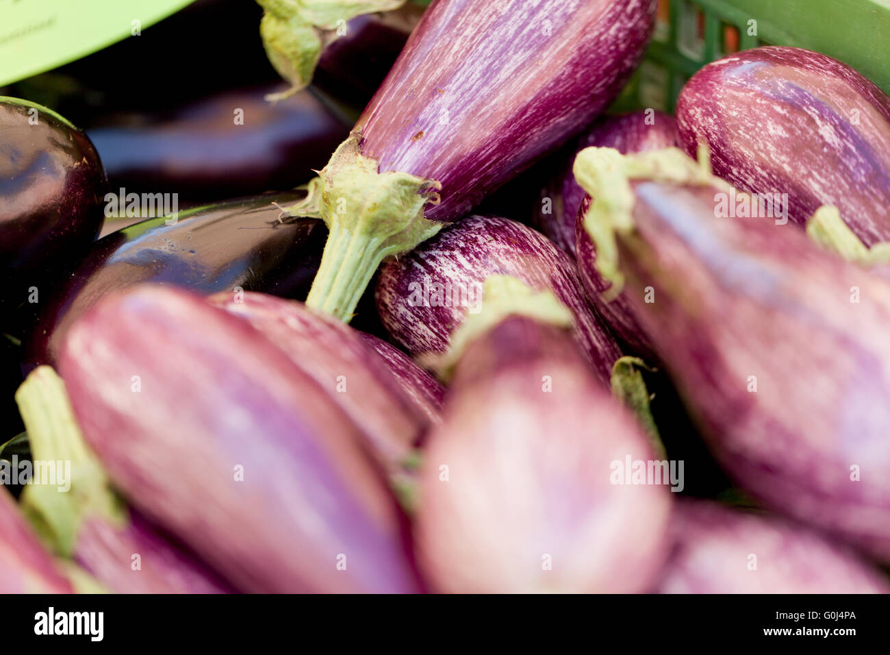 frischen violett Aubergine im Sommer im freien Markt Stockfoto