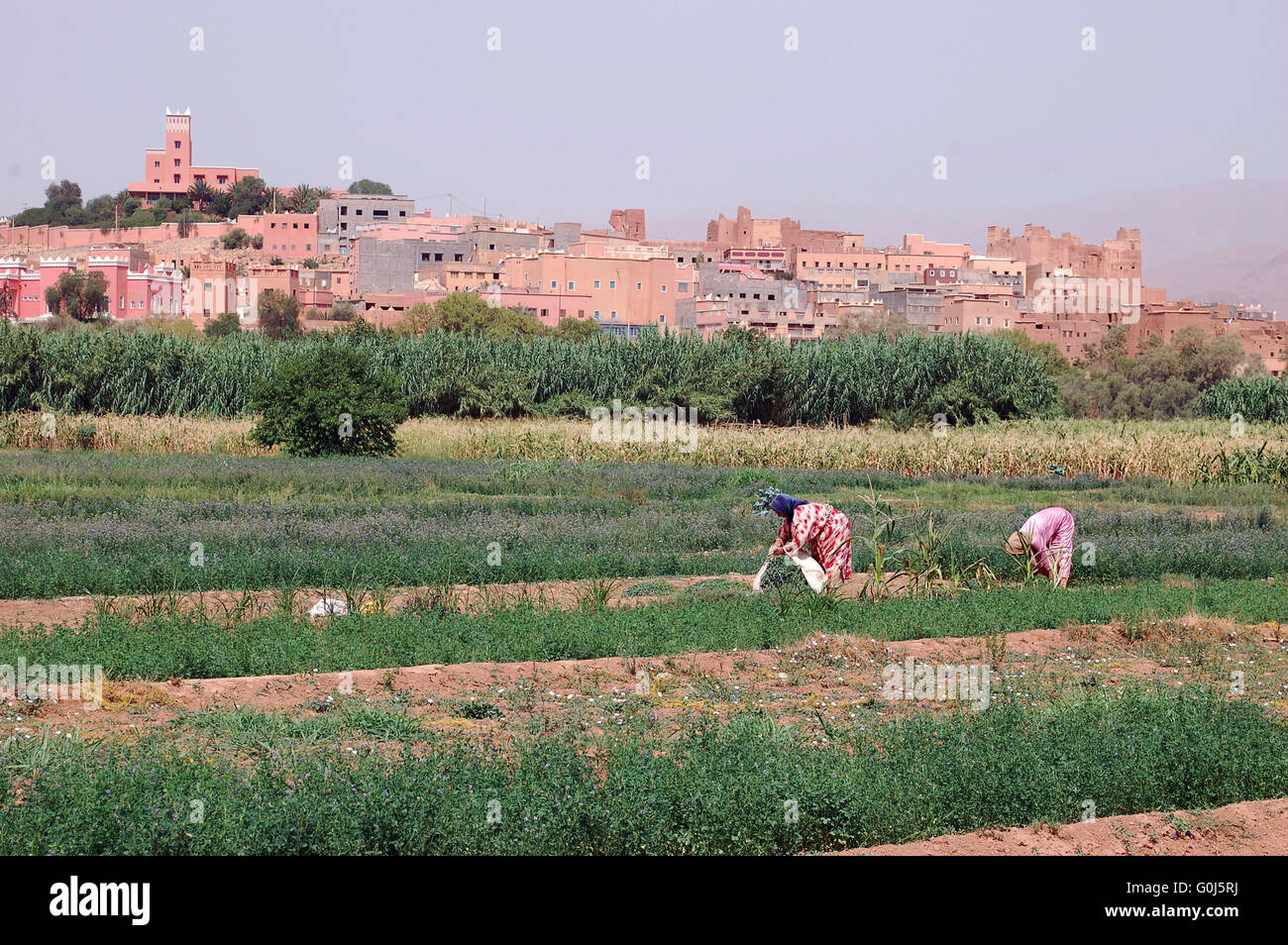 Zwei Frauen-Arbeit in den Bereichen unterhalb ihres Dorfes in die marokkanische Landschaft Stockfoto