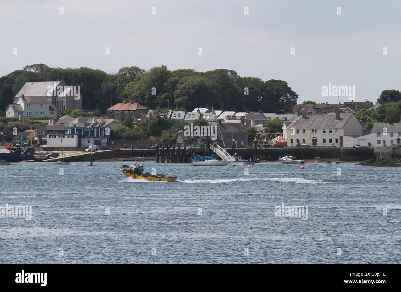 Blick über Strangford Lough (von der Portaferry Seite) das Dorf Strangford, County Down, Nordirland. Stockfoto