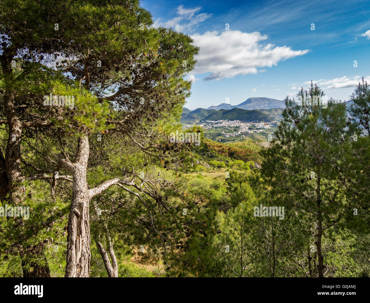 Naturlandschaft. Carratraca Dorf, Naturpark Sierra de Las Nieves. Malaga-Andalusien, Spanien-Europa Stockfoto