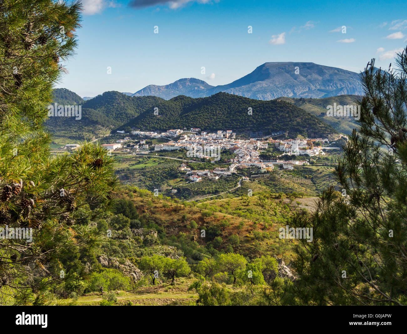 Naturlandschaft. Carratraca Dorf, Naturpark Sierra de Las Nieves. Malaga-Andalusien, Spanien-Europa Stockfoto