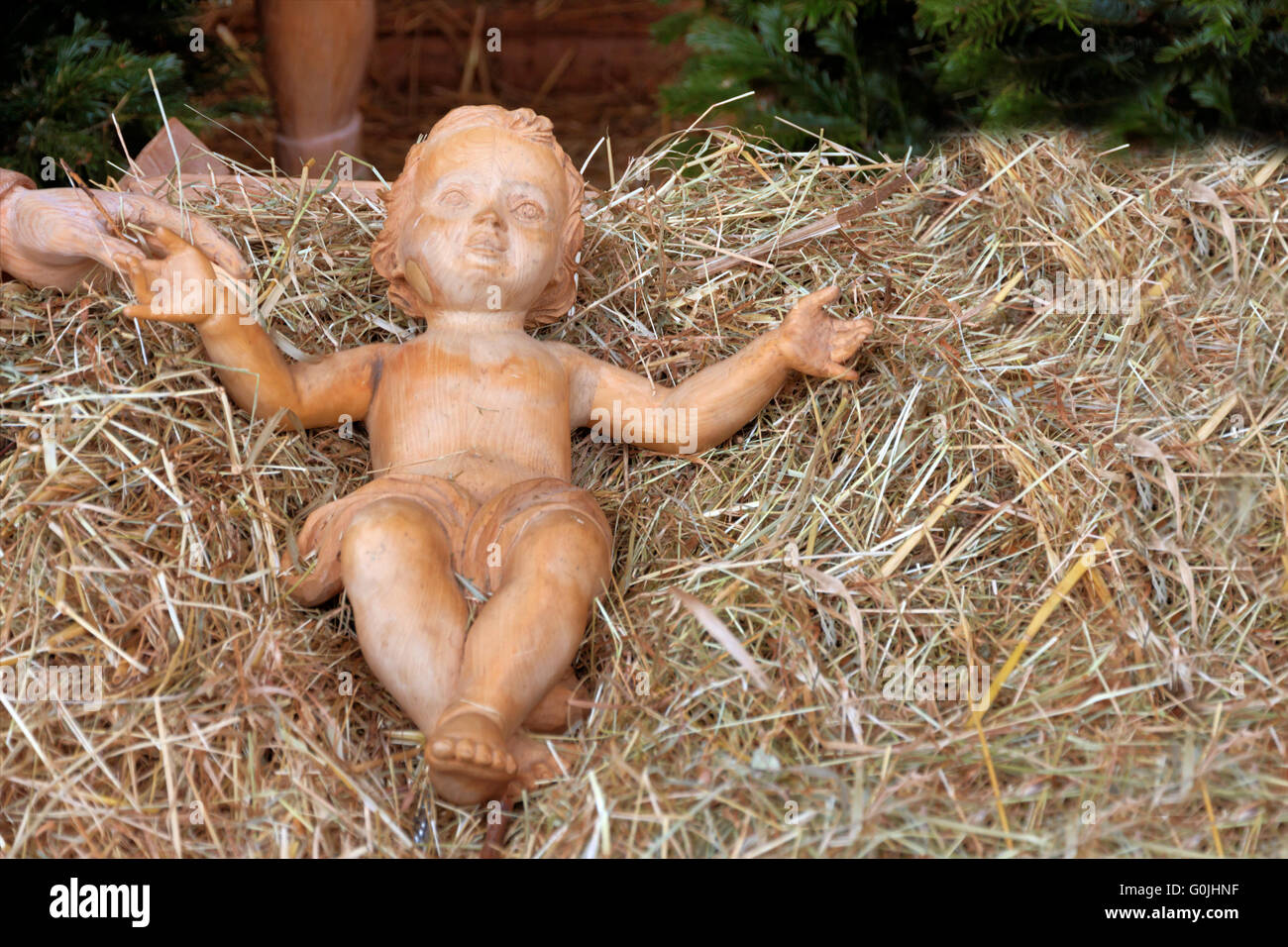 Fig-Baby im Heu Stockfoto