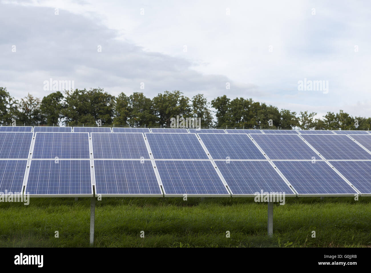 Feld mit blauen Siliciom Solarzellen Alternativenergie Stockfoto
