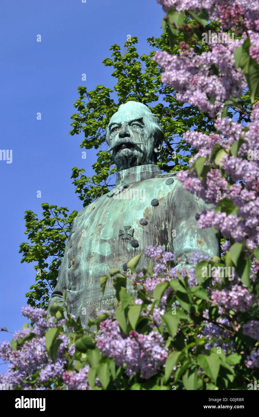 Denkmal von Albrecht Theodor Emil Graf von Roon, Syringa, großen Stern, gröberen Tiergarten, Tiergarten, Berlin, Deutschland Stockfoto