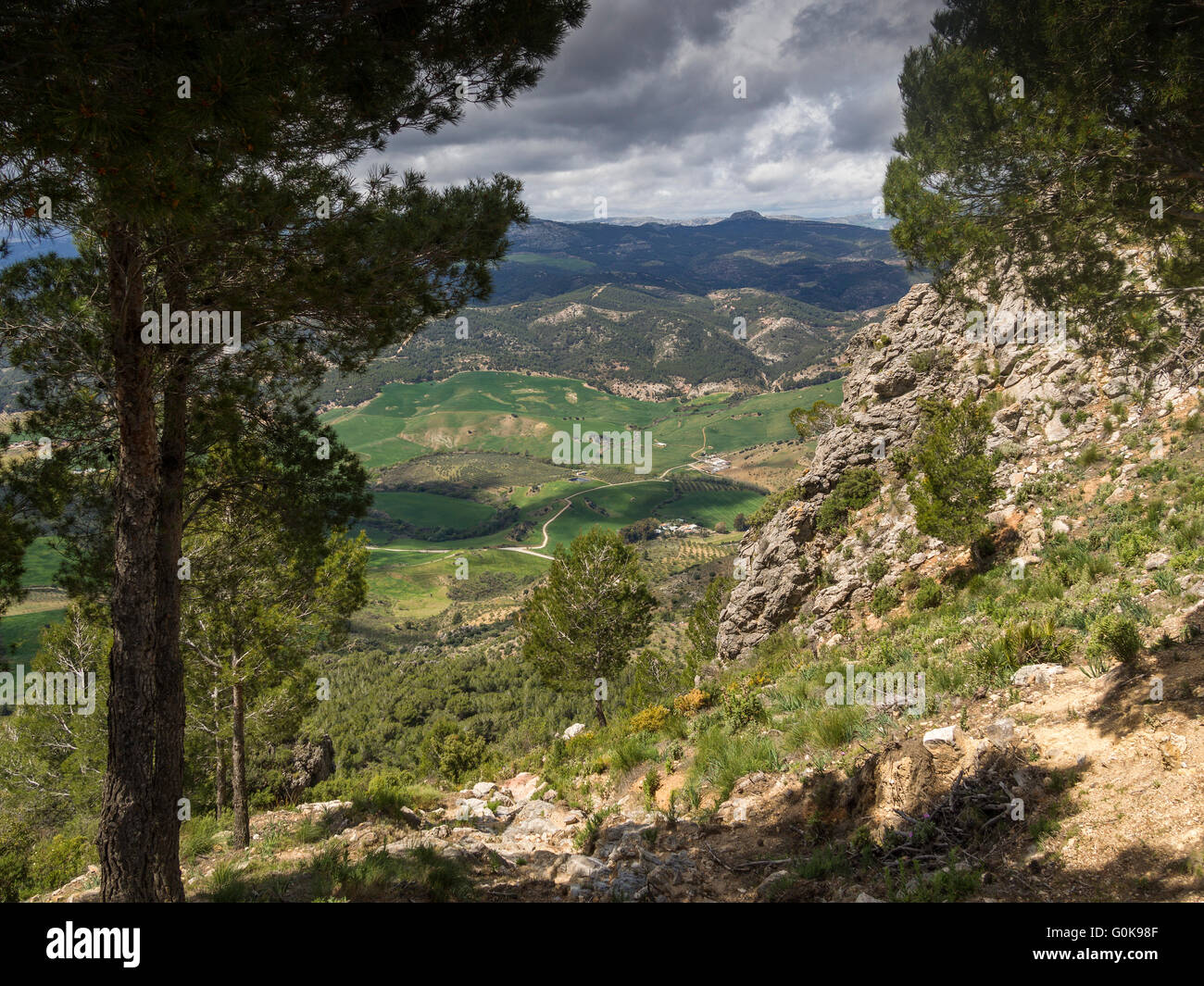 Naturlandschaft. Sierra de Las Nieves Naturpark. Malaga-Andalusien, Spanien-Europa Stockfoto