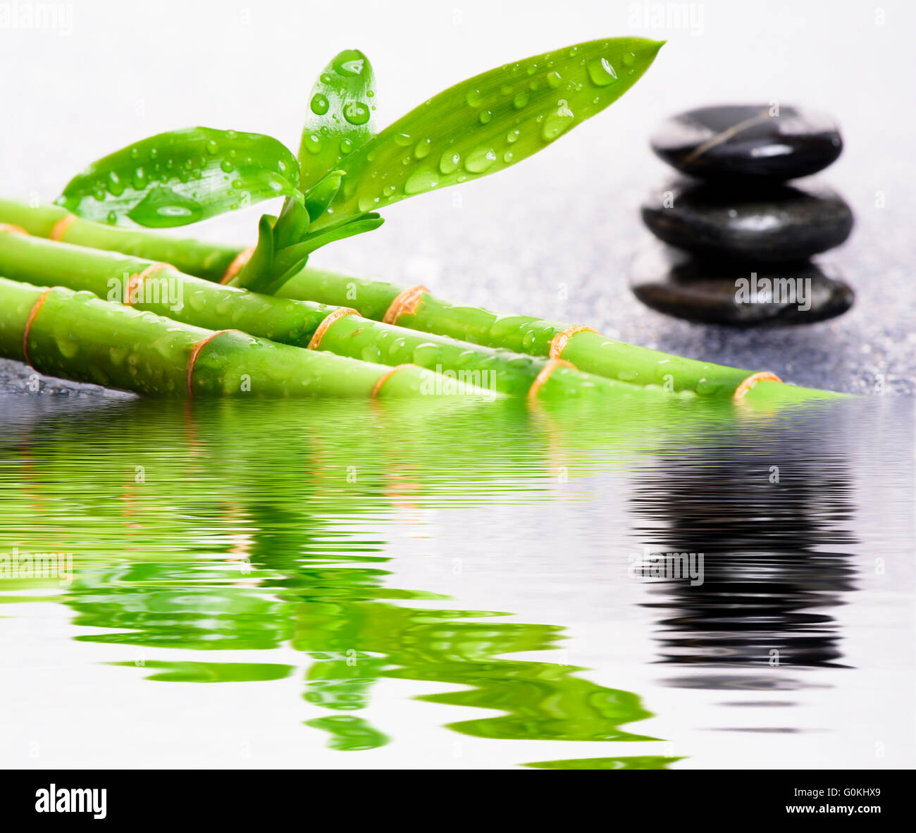 Zen-Garten mit Spiegelung und Reflexion im Wasser Stockfoto