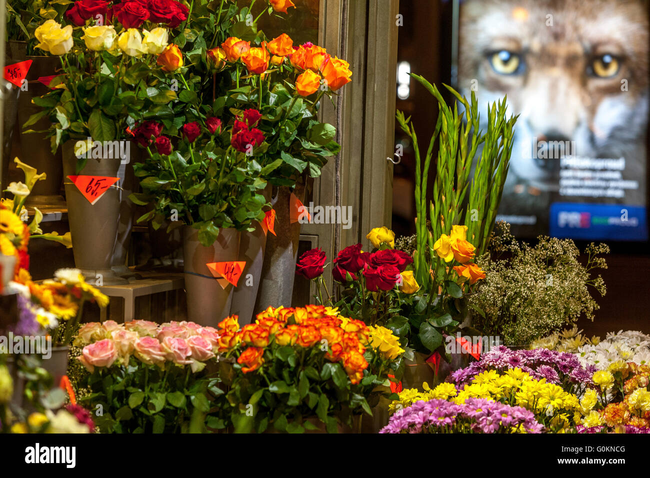 Blumengeschäft in der Straße Narodni trida in Prag, Tschechien Stockfoto