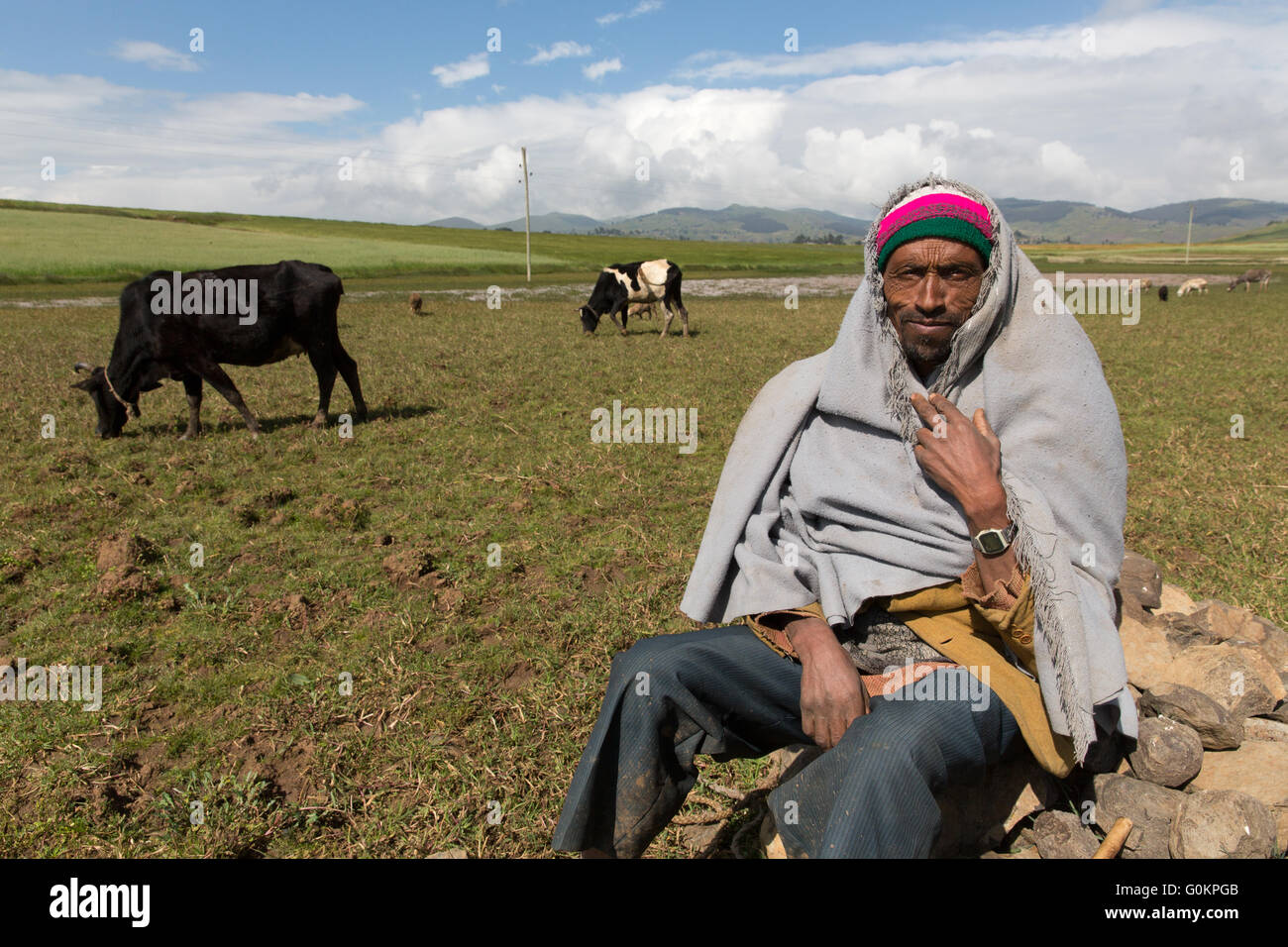 Nord Shewa, Amhara in Äthiopien, Oktober 2013: Ein Hirte seine Weidetiere. Stockfoto