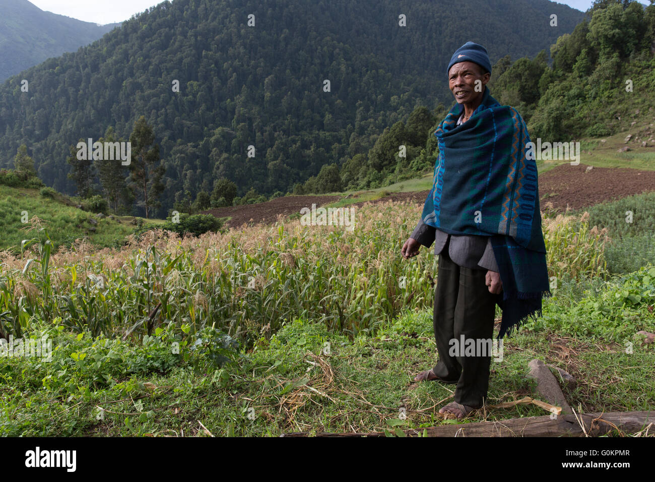 Wofwasha Kebele, Nord-Shewa, Äthiopien, Oktober 2013: Hailemariam Woldoyohanus, 37, in seinem Maisfeld. Stockfoto