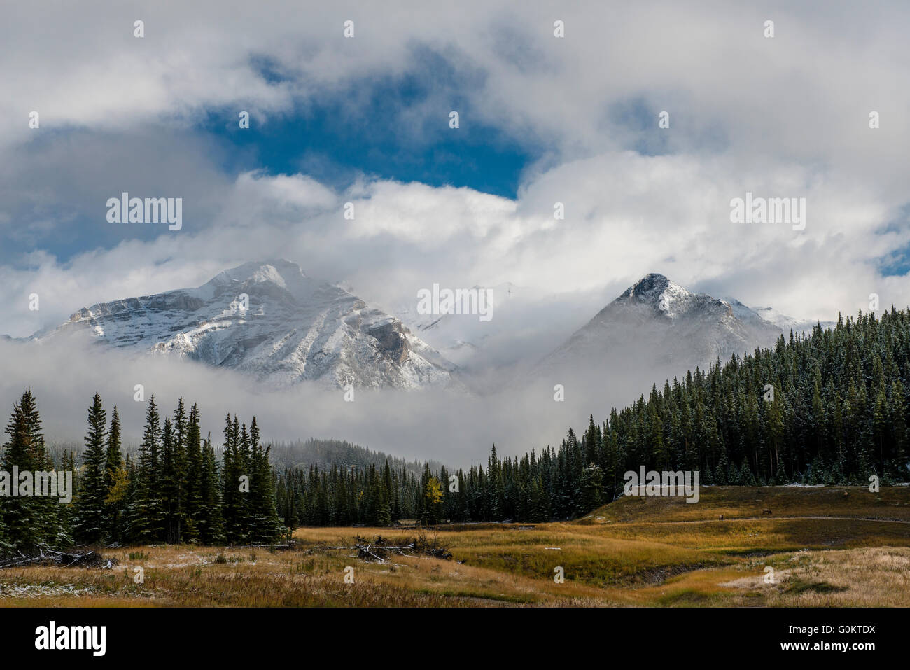 Mount Astley, Banff Nationalpark, Kanadische Rocky Mountains, Alberta, Kanada, Nord Aamerica Stockfoto