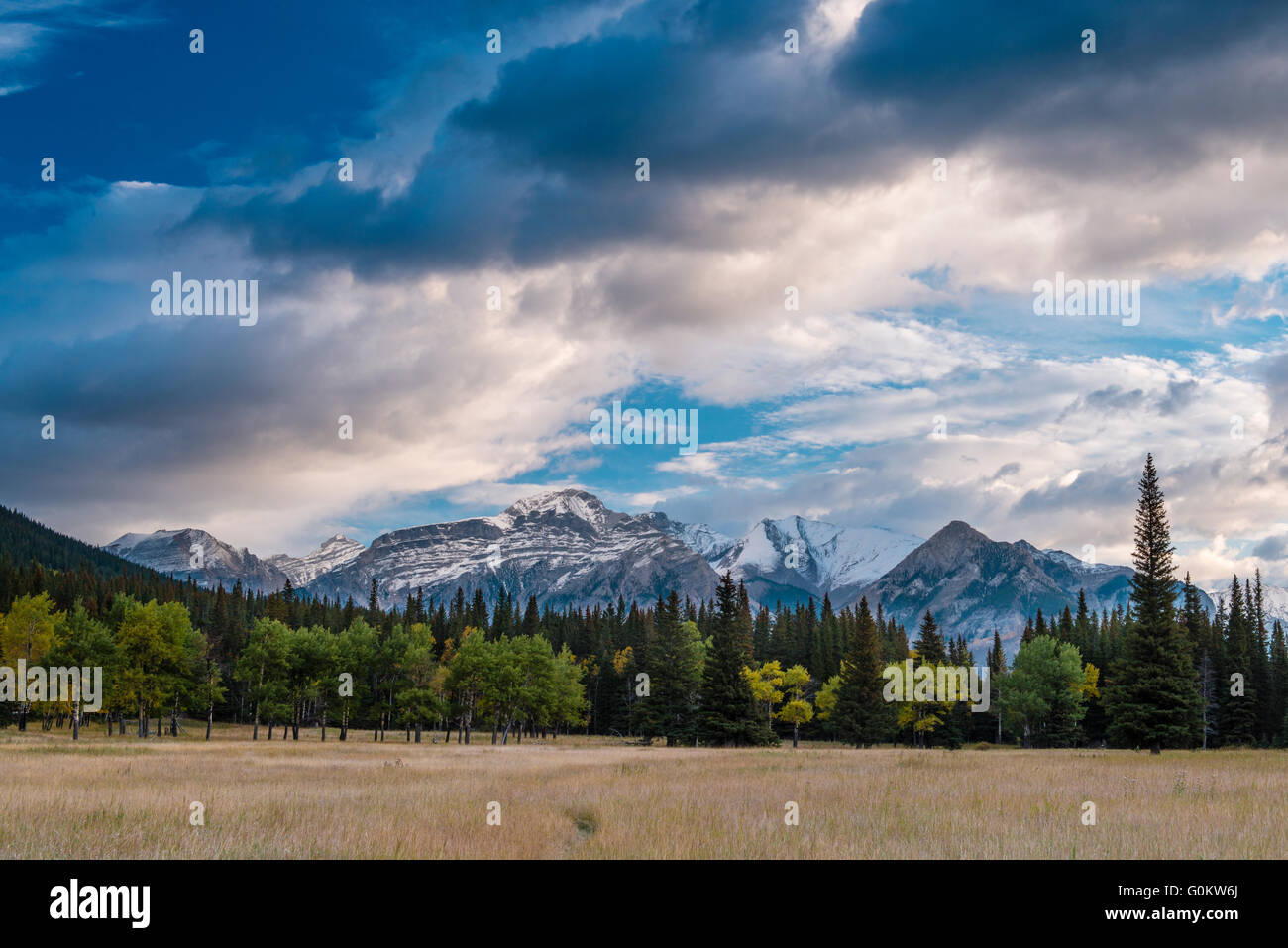 Mount Astley, Banff Nationalpark, Kanadische Rocky Mountains, Alberta, Kanada, Nordamerika Stockfoto