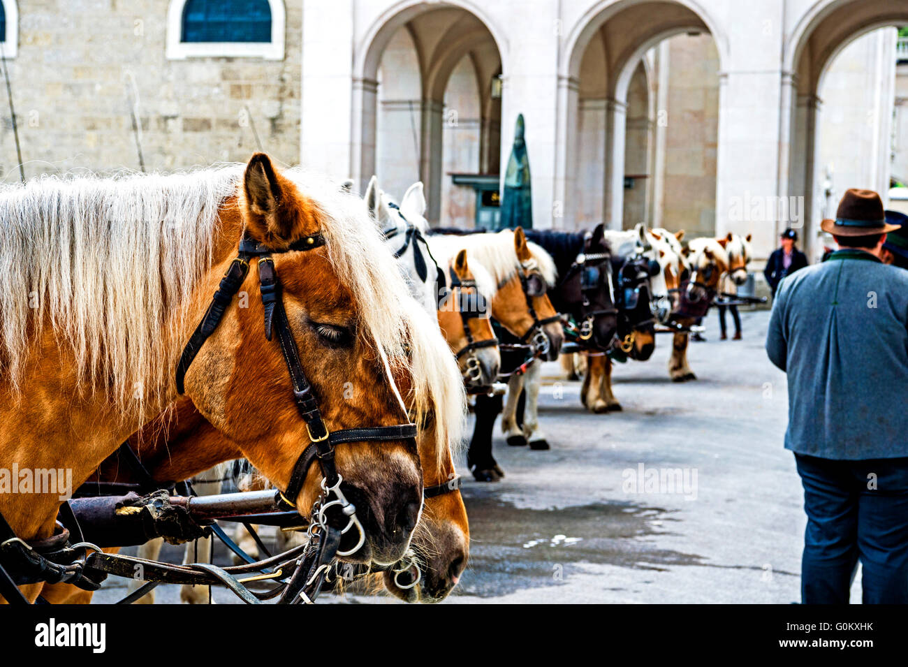 Fiaker in Salzburg, Österreich; Fiaker in Salzburg, Österreich Stockfoto