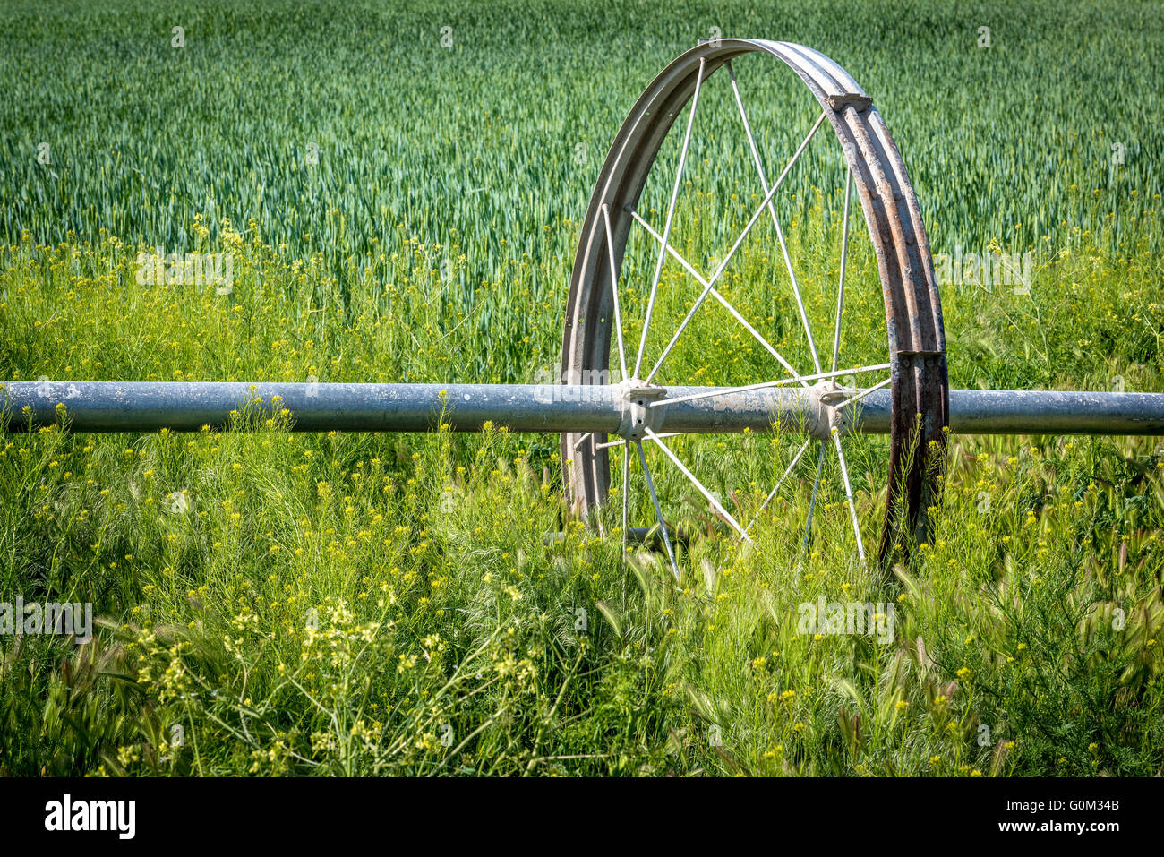 Einzelrad eine Bewässerung Sprinkler auf einem Bauernhof Stockfoto