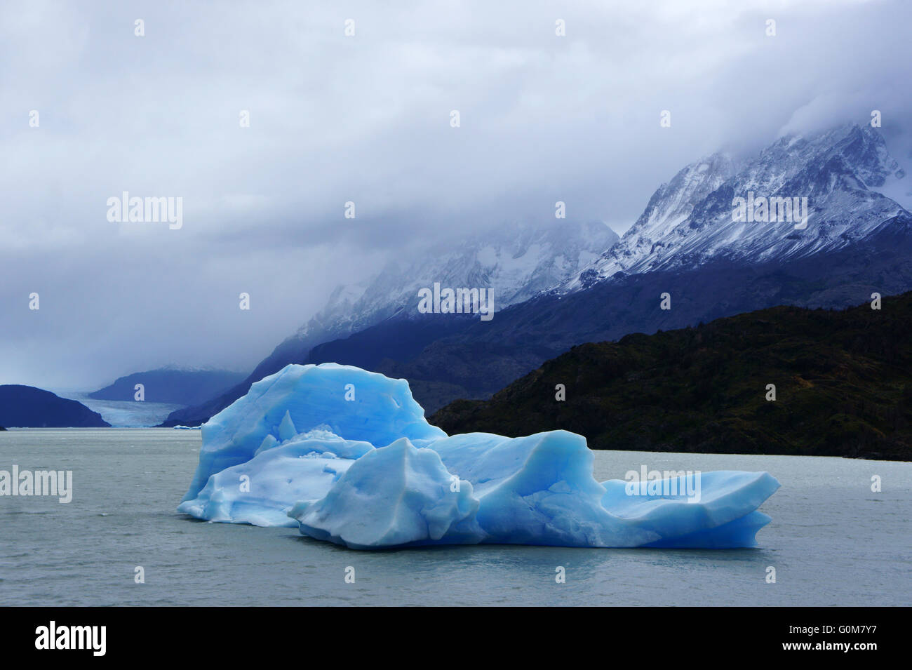 Eisberg im lago Gray mit grauem Gletscher, Torres del Paine National Park, Patagonien, Chilelotscher Stockfoto