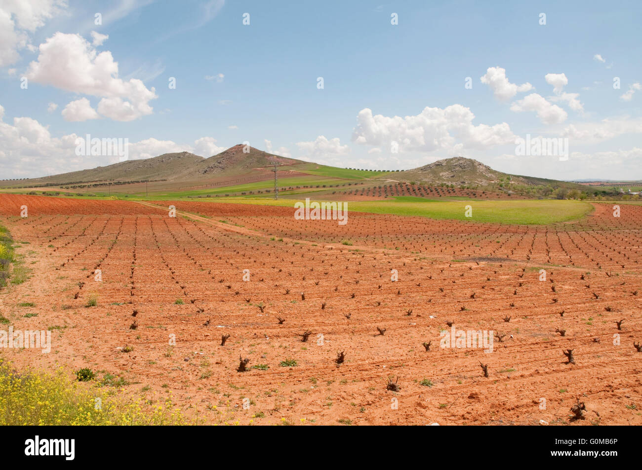 Agrarlandschaft. Campo de Montiel, Provinz Ciudad Real, Castilla La Mancha, Spanien. Stockfoto