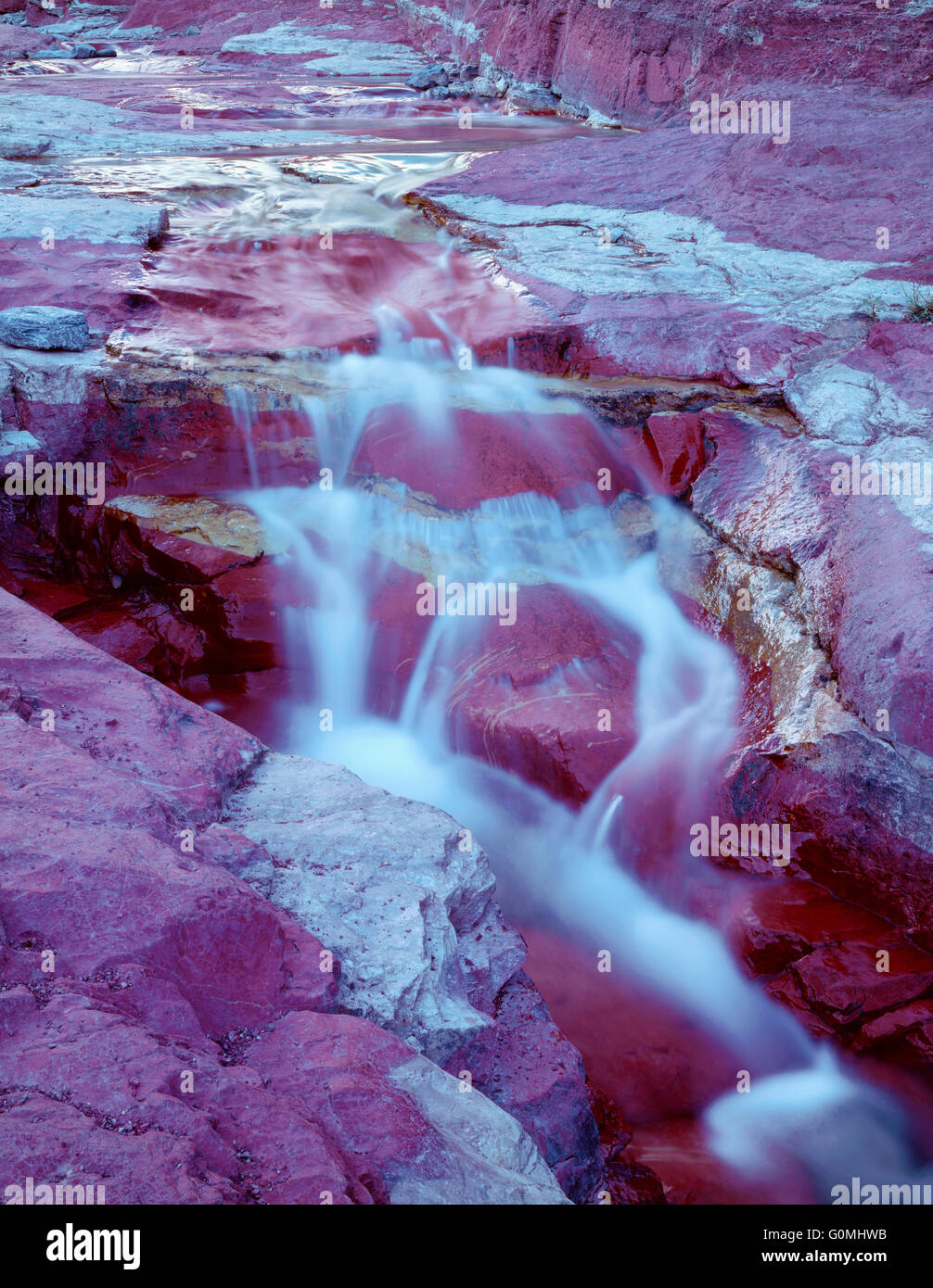 Kanada, Alberta, Waterton Lakes National Park, Tonschiefer, ein Sedimentgestein bringt Farbe in das Bachbett im Red Rock Canyon. Stockfoto