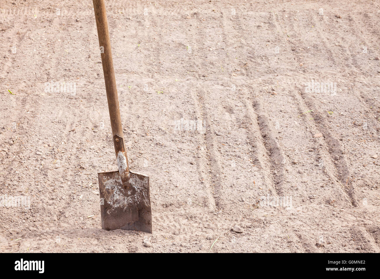 Alte rostige Schaufel steckte in Boden, flache Schärfentiefe, Platz für Text. Stockfoto