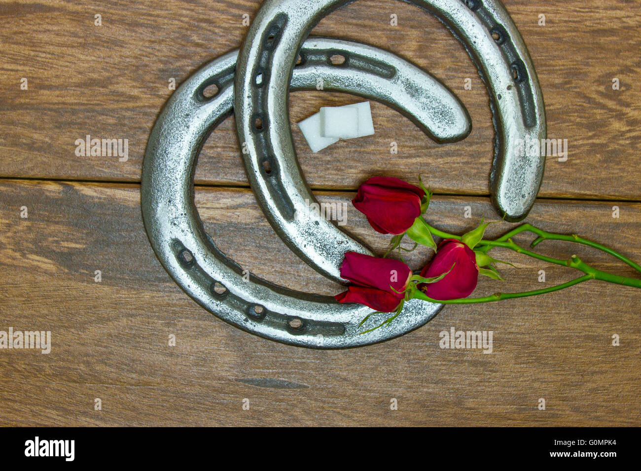 Kentucky Derby rote Rosen mit Hufeisen und Zuckerwürfel auf Scheune Holz Hintergrund. Stockfoto